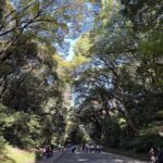 Tokyo: Meiji Jingu Shrine, Forest & Imperial Garden - Mastering Shinto rituals and prayer etiquette