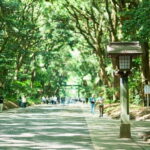 Tokyo: Meiji Shrine Walking Tour  Shinto & Imperial System - The Itinerary: What to Expect on Your Tour