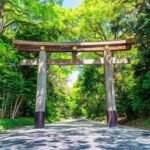 Tokyo Morning Tour: Meiji Shrine, Asakusa & Fish Market - Who Is This Tour Best For?