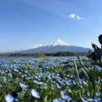 Tokyo: Mount Fuji Affordable Customizable Private 1-Day Tour - Why This Tour Offers Great Value