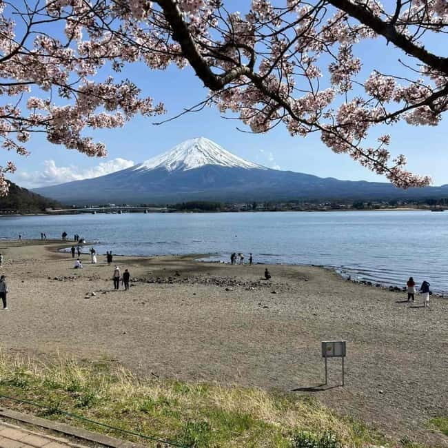 Tokyo: Mount Fuji Affordable Customizable Private 1-Day Tour - Practical Details: What’s Included and What to Prepare