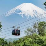 Tokyo: Mount Fuji and Hakone Private Customized Tour Guide - What about the guide and transportation?