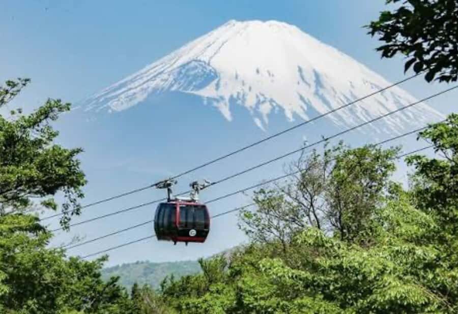 Tokyo: Mount Fuji and Hakone Private Customized Tour Guide - What about the guide and transportation?