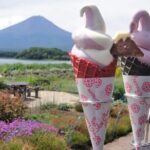 Tokyo Mount Fuji and Hakone Private Day Tour - Who Should Consider This Tour?