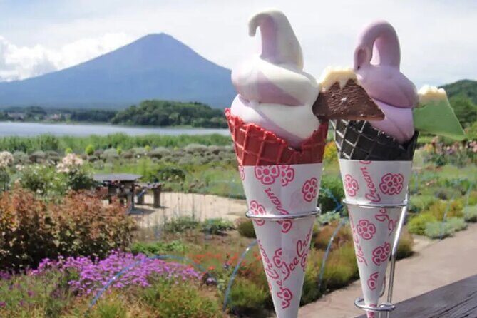 Tokyo Mount Fuji and Hakone Private Day Tour - Who Should Consider This Tour?