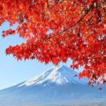 Tokyo: Mount Fuji and Hakone Private Day Trip with driver - Detailed Breakdown of the Itinerary
