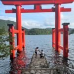 Tokyo: Mount Fuji and Hakone private sightseeing tour - How Value Comes Into Play