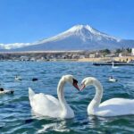 Tokyo: Mount Fuji and Lake Yamanaka Day Trip with Pickup - Practicalities and What You Need to Know