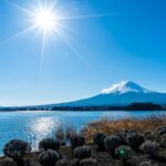 Tokyo: Mount Fuji, Chureito Pagoda Private Tour Customizable - The Value of a Private, Customizable Tour