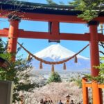 Tokyo: Mount Fuji Full Day Private Customized Tour - Why This Tour Works for You