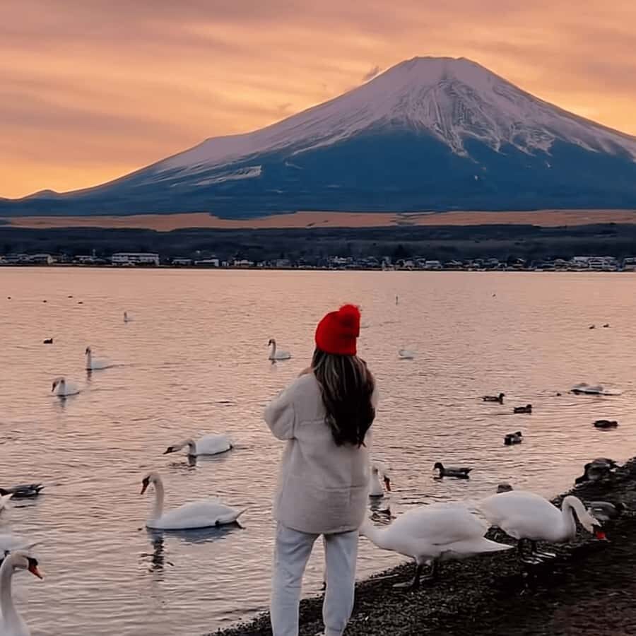 Tokyo: Mount Fuji Must See Private Tour Adjustable Itinerary - Optional Extensions: Hakone Adventures