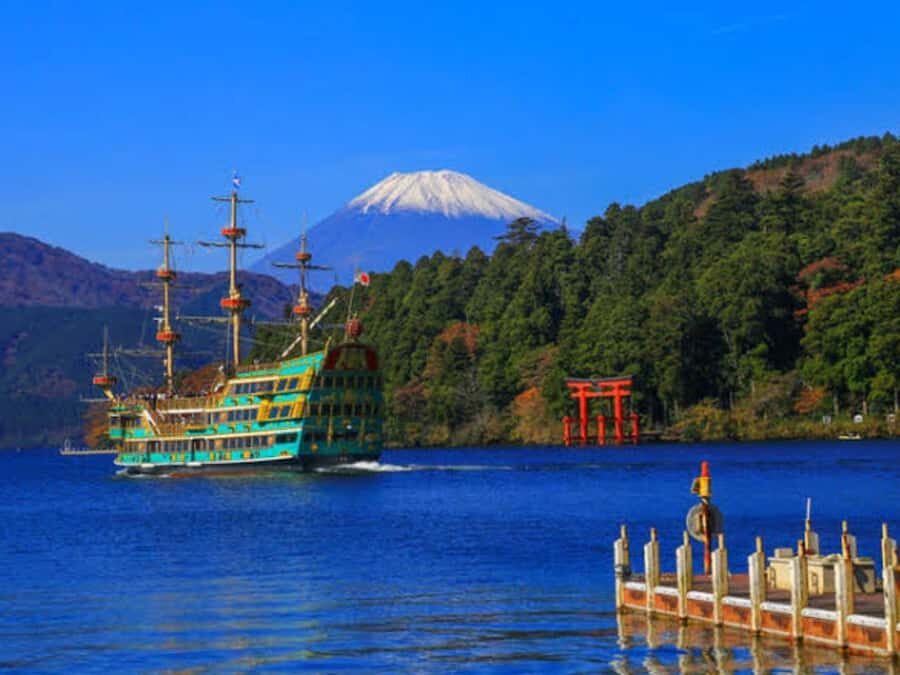 Tokyo : Mount Fuji Private Customized Tour English Guide - An In-Depth Look at the Itinerary