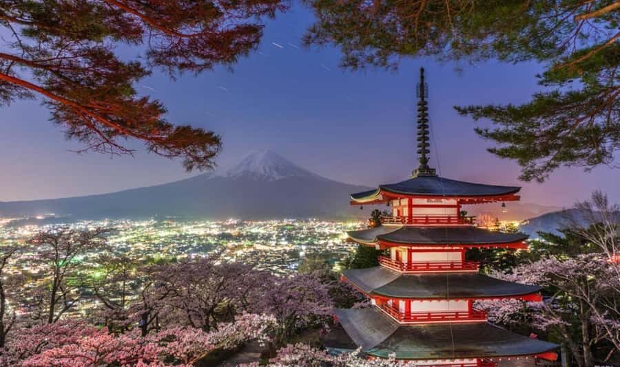 Tokyo: Mount Fuji Private Full-Day Tour With English Guide - Final Thoughts: Is This Tour Right for You?