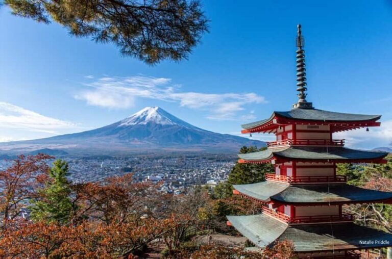 Tokyo: Mount Fuji Private Tour Custom itinerary With Guide - Who Should Consider This Tour?