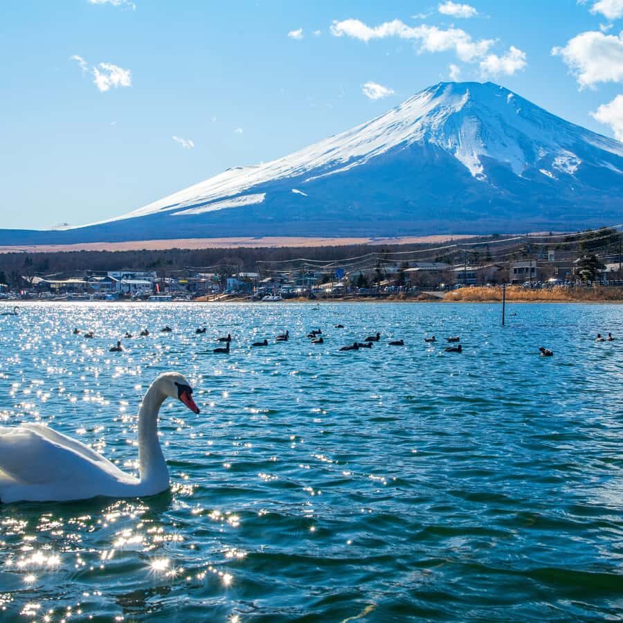 Tokyo: Mount Fuji Private Tour Custom itinerary With Guide - A Closer Look at the Itinerary
