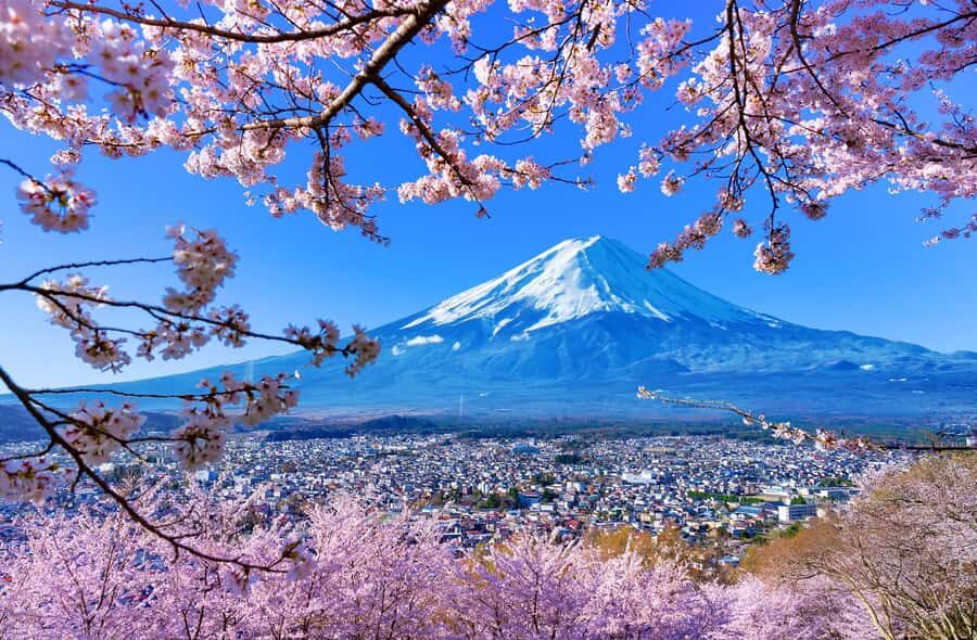 Tokyo: Mt Fuji 6 Spots Tour, Lake Yamanaka, Lake Kawaguchi - Exploring the Itinerary in Detail