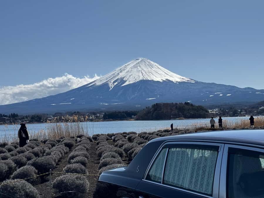 Tokyo: Mt. Fuji and Hakone 2-Day Camping Adventure - A Deep Dive into the 2-Day Journey