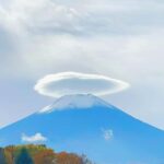 Tokyo: Mt. Fuji Cherry Blossom DayTrip & Yamanaka Hot Spring - Who Is This Tour For?