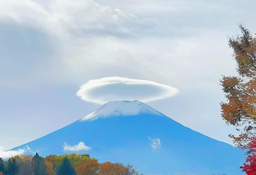 Tokyo: Mt. Fuji Cherry Blossom DayTrip & Yamanaka Hot Spring - Who Is This Tour For?