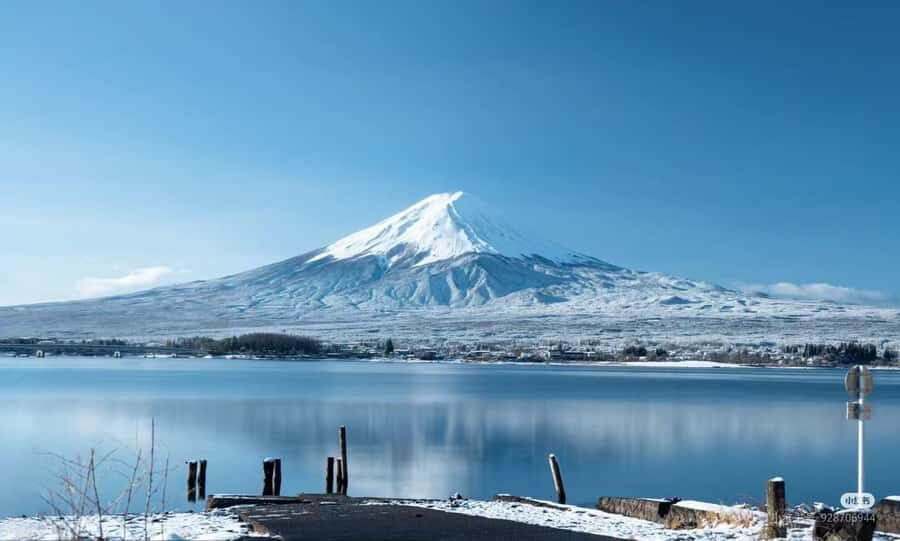 Tokyo: Mt. Fuji Cherry Blossom DayTrip & Yamanaka Hot Spring - Price and Value