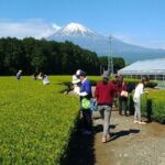 Tokyo: Mt. Fuji Cherry Blossoms and Tea picking Tour - Practical Tips for Potential Participants
