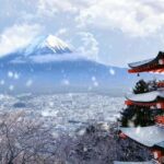 Tokyo: Mt Fuji Chureito Pagoda Lake Kawaguchi&Oshino Hakkai - Final Thoughts: Who Will Love This Tour?