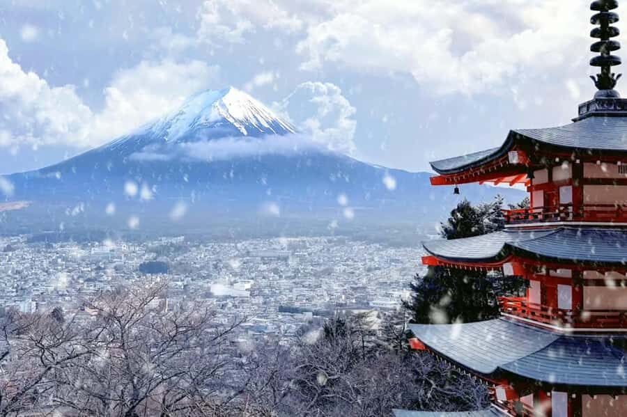 Tokyo: Mt Fuji Chureito Pagoda Lake Kawaguchi&Oshino Hakkai - Final Thoughts: Who Will Love This Tour?