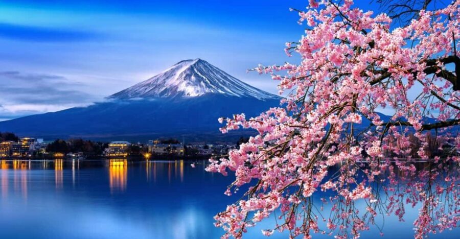 Tokyo: Mt. Fuji & Hakone Cherry Blossoms Private Day Tour - Exploring the Itinerary in Detail