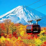 Tokyo: Mt Fuji & Hakone Ninja Cruises & Ropeway Tour - Practical Details & Highlights