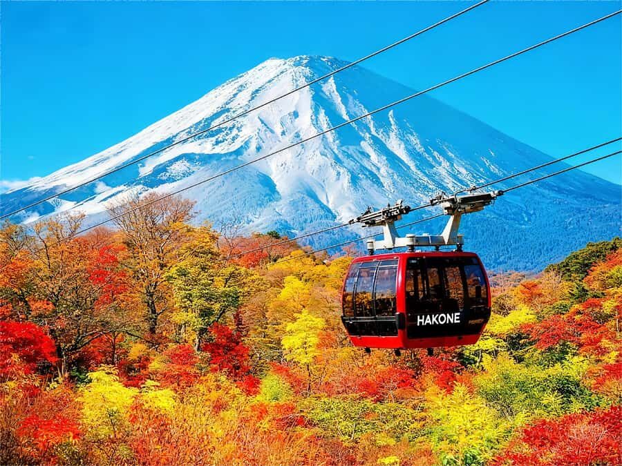 Tokyo: Mt Fuji & Hakone Ninja Cruises & Ropeway Tour - Practical Details & Highlights