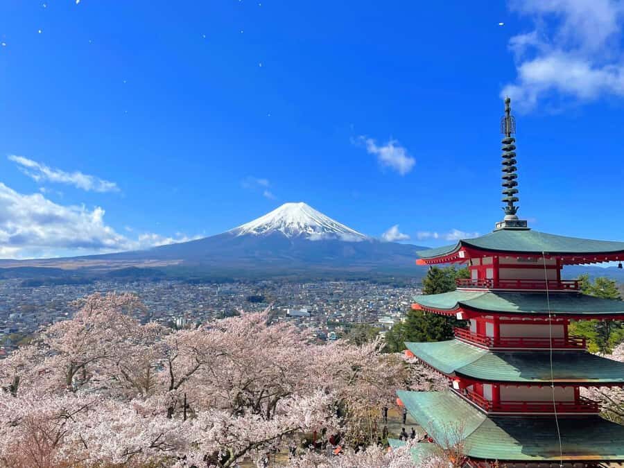 Tokyo: Mt Fuji, Lake Cruise and Noodles Making Experience - Who Should Consider This Tour?