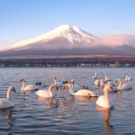 Tokyo: Mt. Fuji & Lake Kawaguchi Small Group Tour - 6 Spots - The Value of the Tour and Transportation