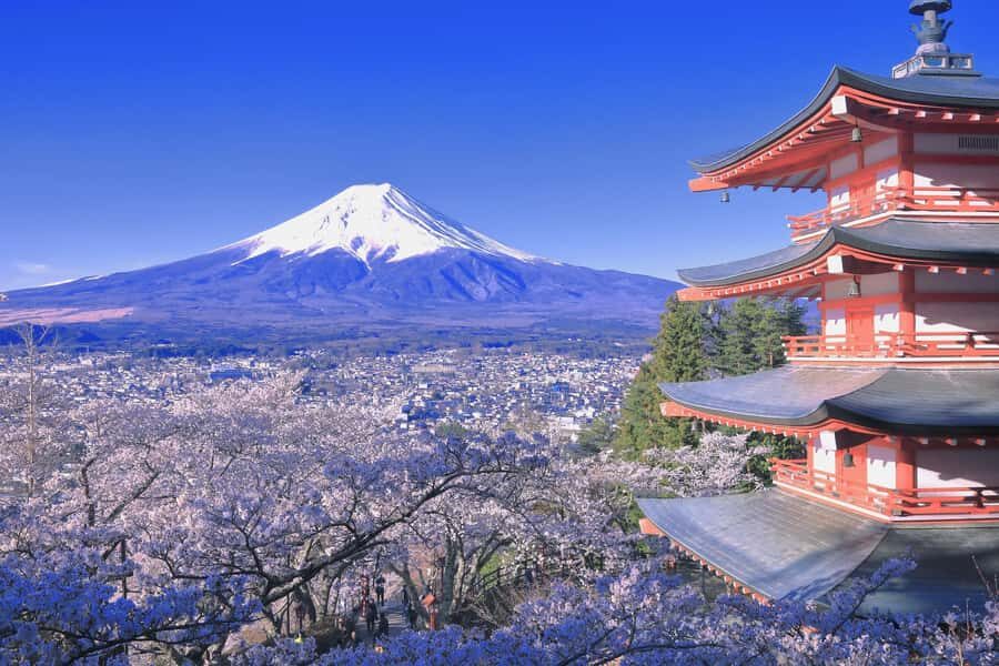 Tokyo: Mt. Fuji & Lake Kawaguchi Small Group Tour - 6 Spots - First Stop: Lake Yamanaka – Fuji’s Largest Lake