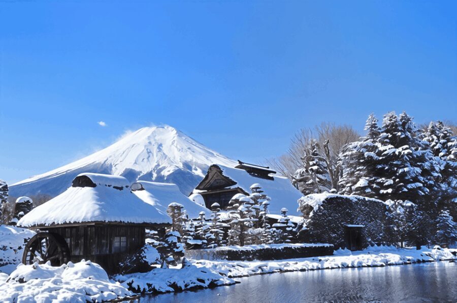 Tokyo: Mt Fuji Lake Kawaguchiko Tour & Arakuyama Sengen Park - What Makes This Tour Stand Out