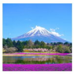 Tokyo: Mt Fuji Private Day Tour By English Driver Low Price - Authenticity and Guides