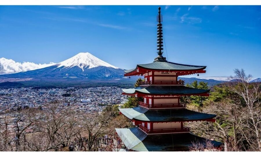 Tokyo: Mt Fuji Private Day Tour with English-speaking Driver - What’s Included and What’s Not