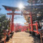 Tokyo: Mt.Fuji Private day Trip with English Speaking Driver - Price & Value Analysis