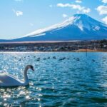 Tokyo: Mt. Fuji Private Fully Customised Tour In Prado - What Makes This Tour Stand Out?