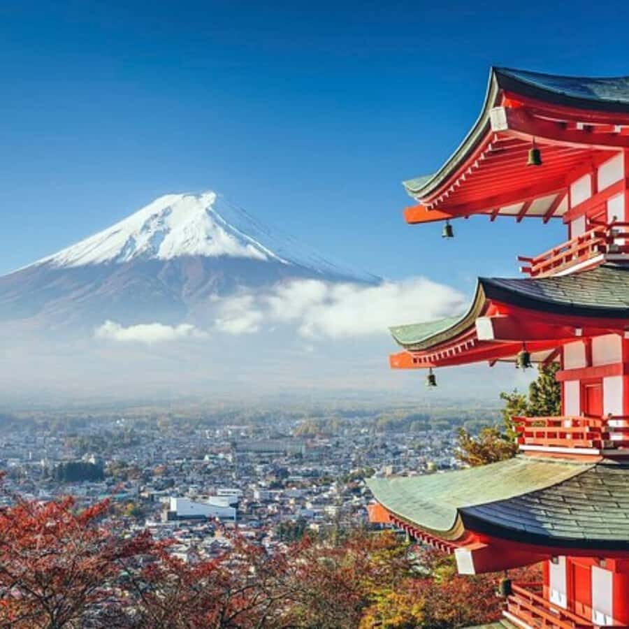 Tokyo: Mt Fuji Private Tour Customizable By English Driver - What Makes This Tour Special?