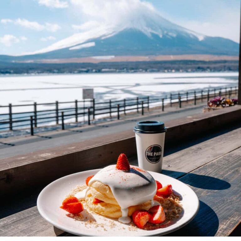 Tokyo: Mt. Fuji Tour, Lake Ashi, Hakone Ropeway, Owakudani, - Who Will Love This Tour?
