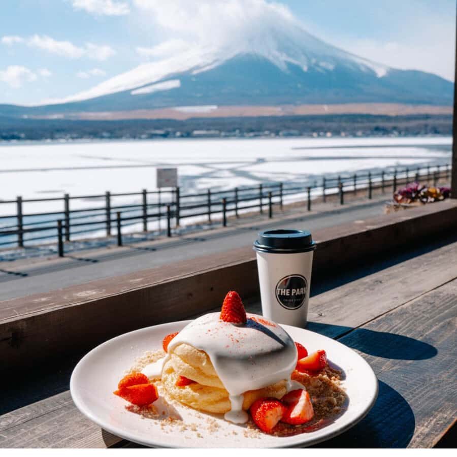 Tokyo: Mt. Fuji Tour, Lake Ashi, Hakone Ropeway, Owakudani, - Who Will Love This Tour?