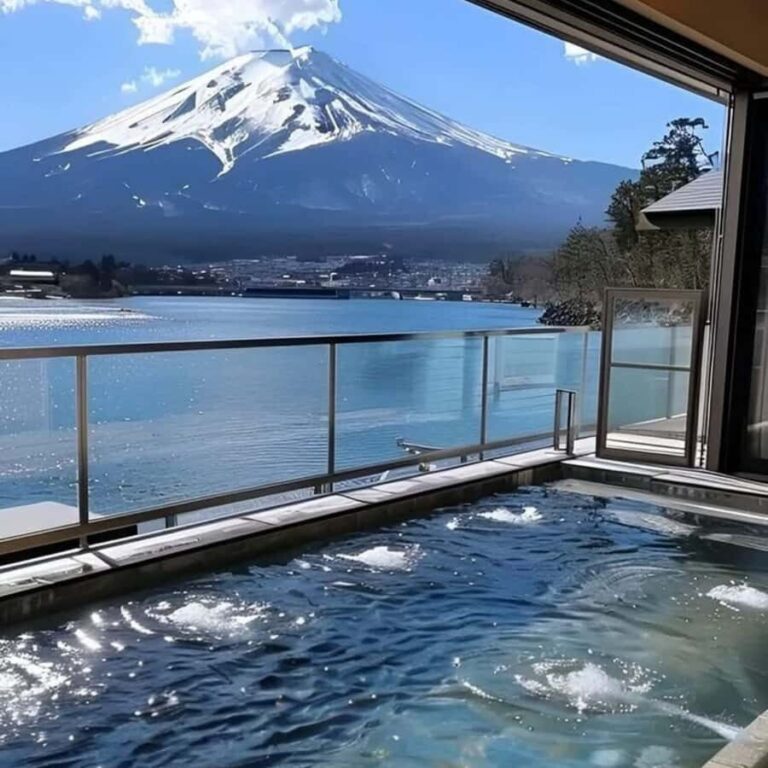 Tokyo: Mt. Fuji Tour, Lake Ashi, Hakone Ropeway, Owakudani, - Why This Tour Is a Great Value