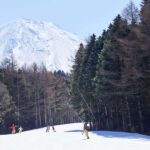 Tokyo: Mt. Fuji View with Fujiten Snow Fun & Oishi Park Tour - A Comprehensive Look at the Tour