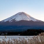 Tokyo: Mt. Fuji View with Fujiten Snow Fun & Oishi Park Tour - The Full Experience: What to Expect