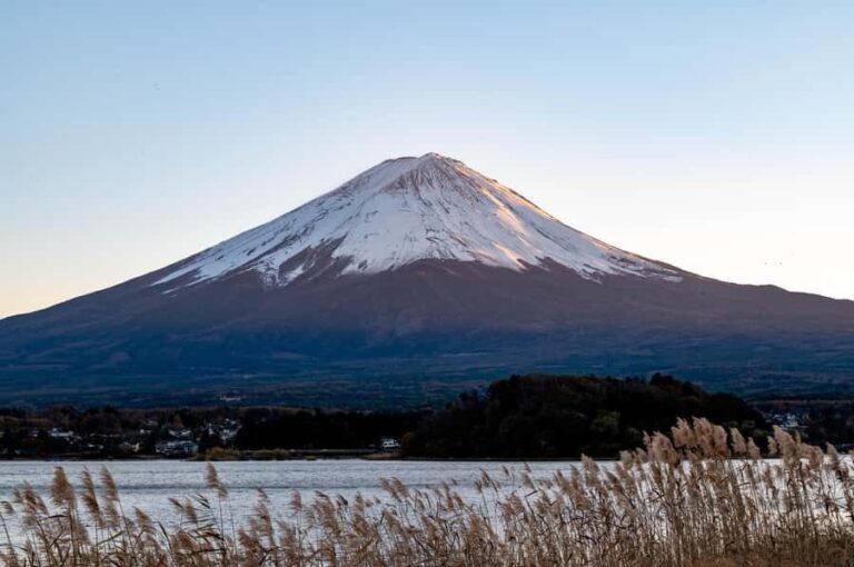 Tokyo: Mt. Fuji View with Fujiten Snow Fun & Oishi Park Tour - The Full Experience: What to Expect