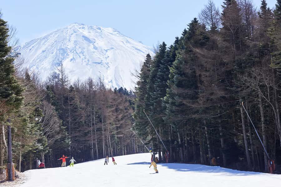 Tokyo: Mt. Fuji View with Fujiten Snow Fun & Oishi Park Tour - A Comprehensive Look at the Tour