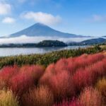 Tokyo, Mt. Fuji & Yokohama: 5-Day Highlights Tour - The Experience Provider & Group Dynamics