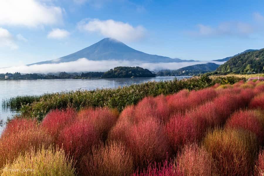 Tokyo, Mt. Fuji & Yokohama: 5-Day Highlights Tour - Final Thoughts: Who Will Love This Tour?