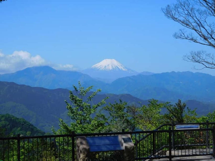 Tokyo: Mt Takao Tour with Ramen and Tattoo-Okay Hot Spring - What Makes This Tour Stand Out?