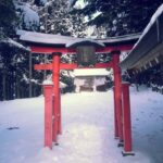 Tokyo: Nagano Private Day Tour with Guide and Transfer - A Deep Dive into the Itinerary and Experience
